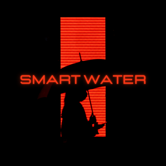 Smart Water 1L